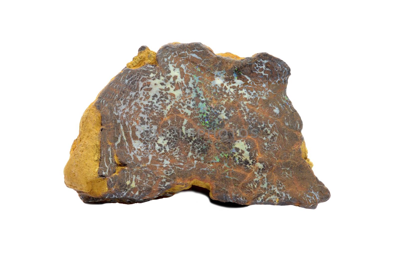 Boulder Opal by stellar