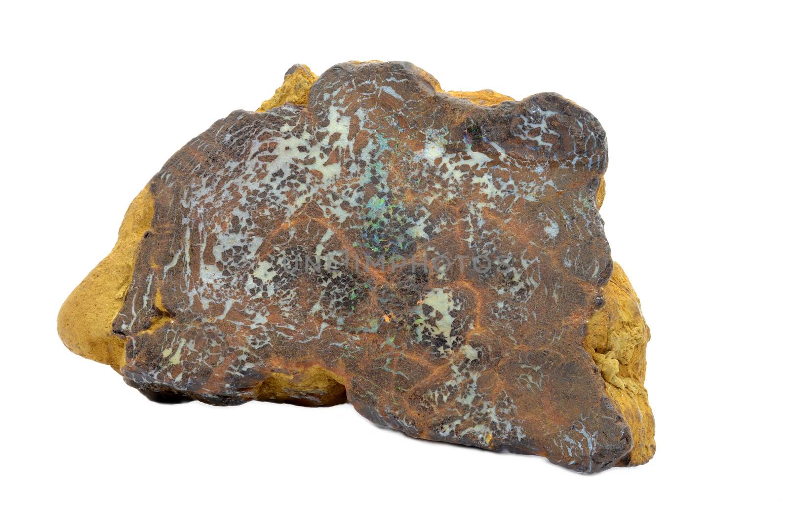Boulder Opal by stellar