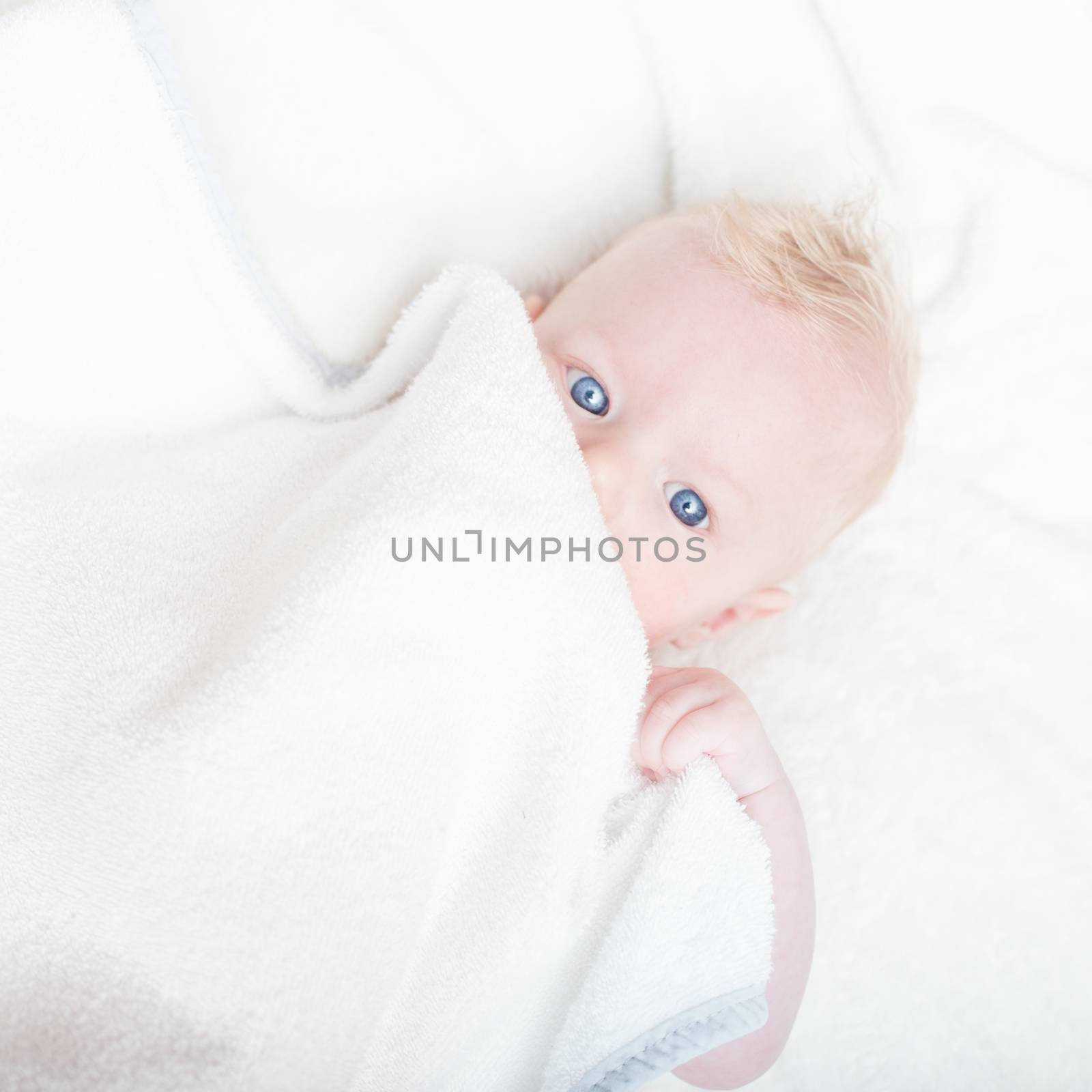 Cute blonde little baby boy with blue eyes hiding under the blanket.