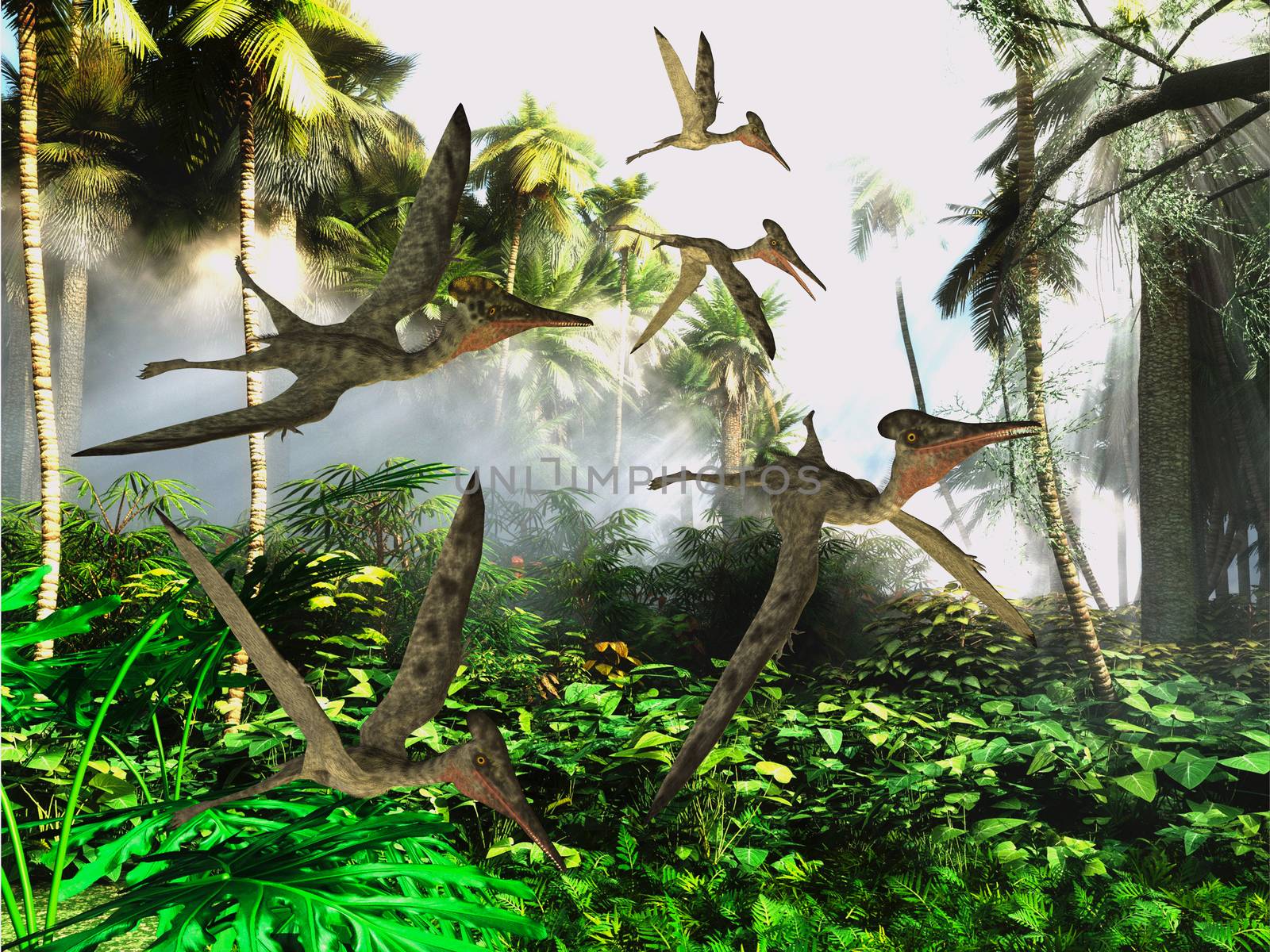 Pterodactylus Flying Reptiles by Catmando