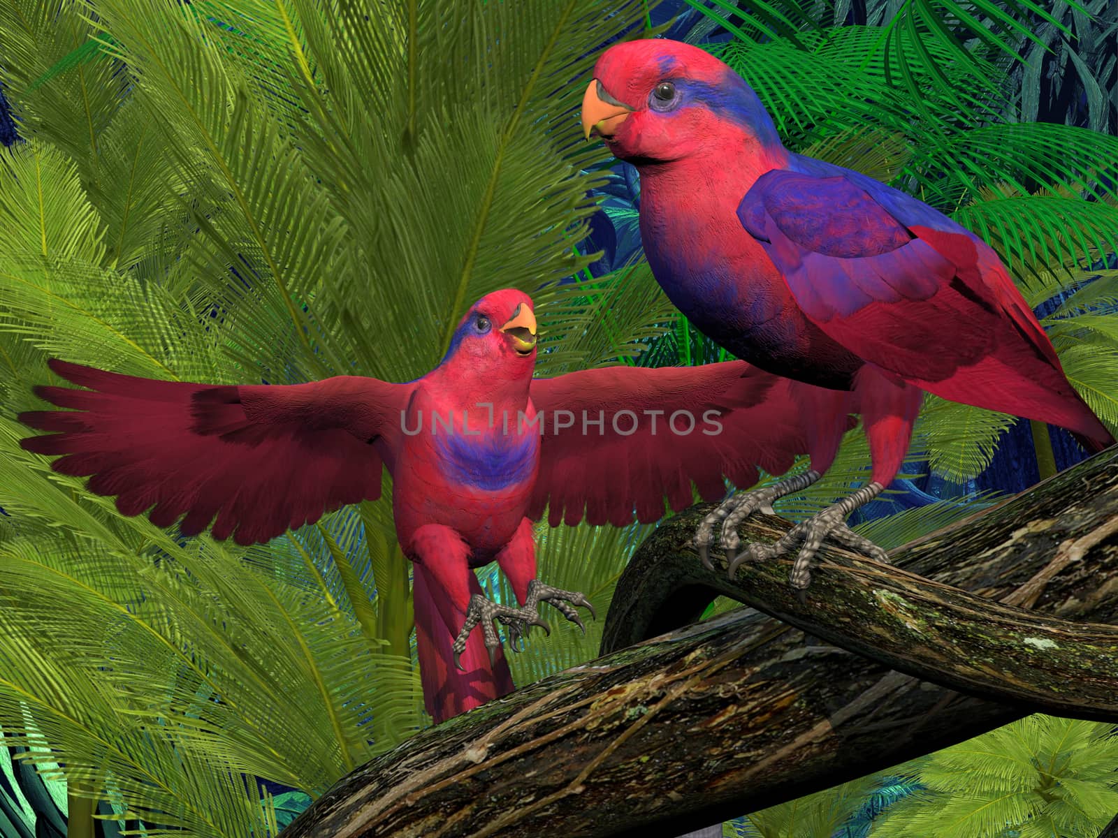 Red and Blue Lory Parrots by Catmando