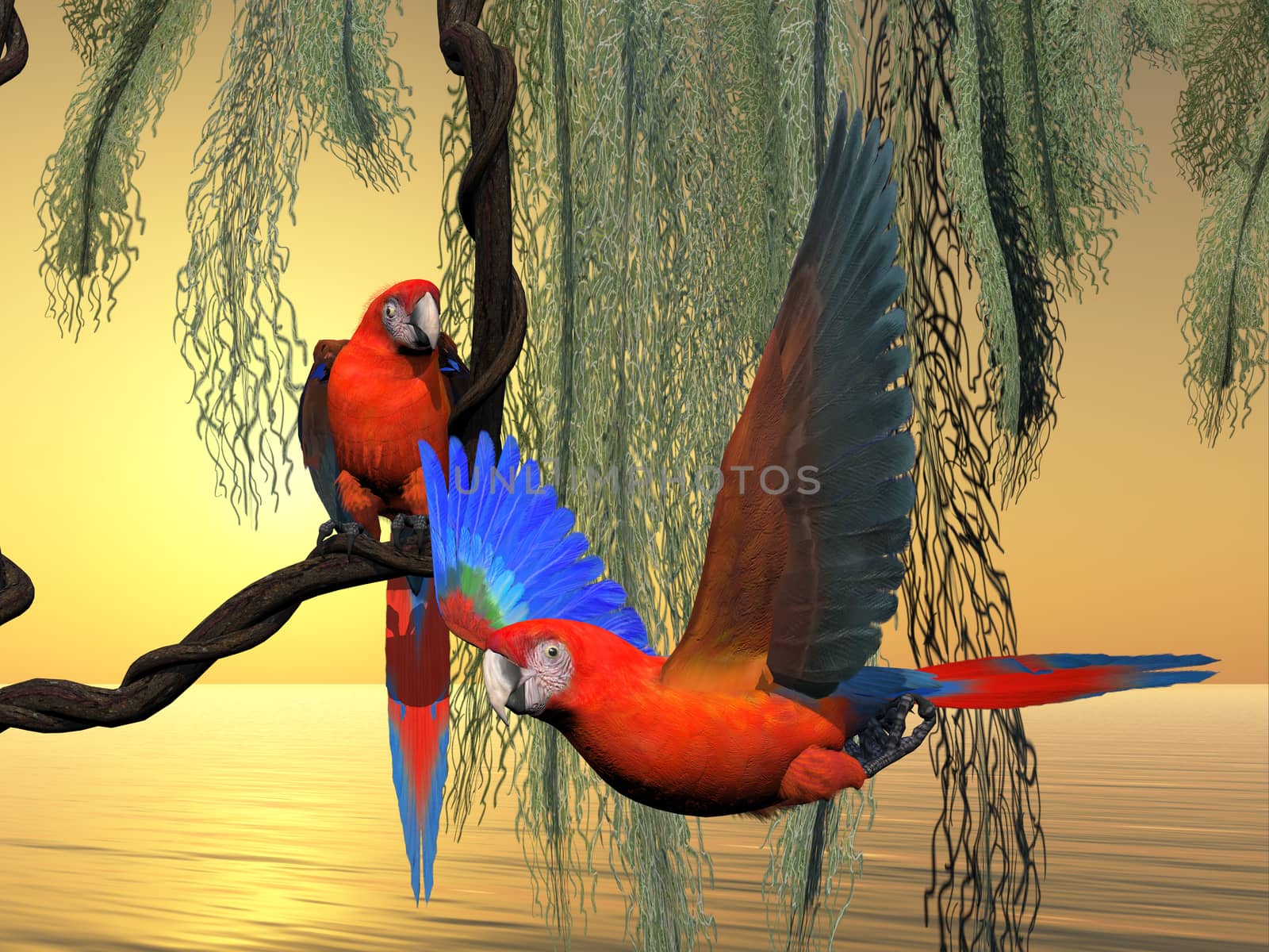 Red and Green Macaws by Catmando