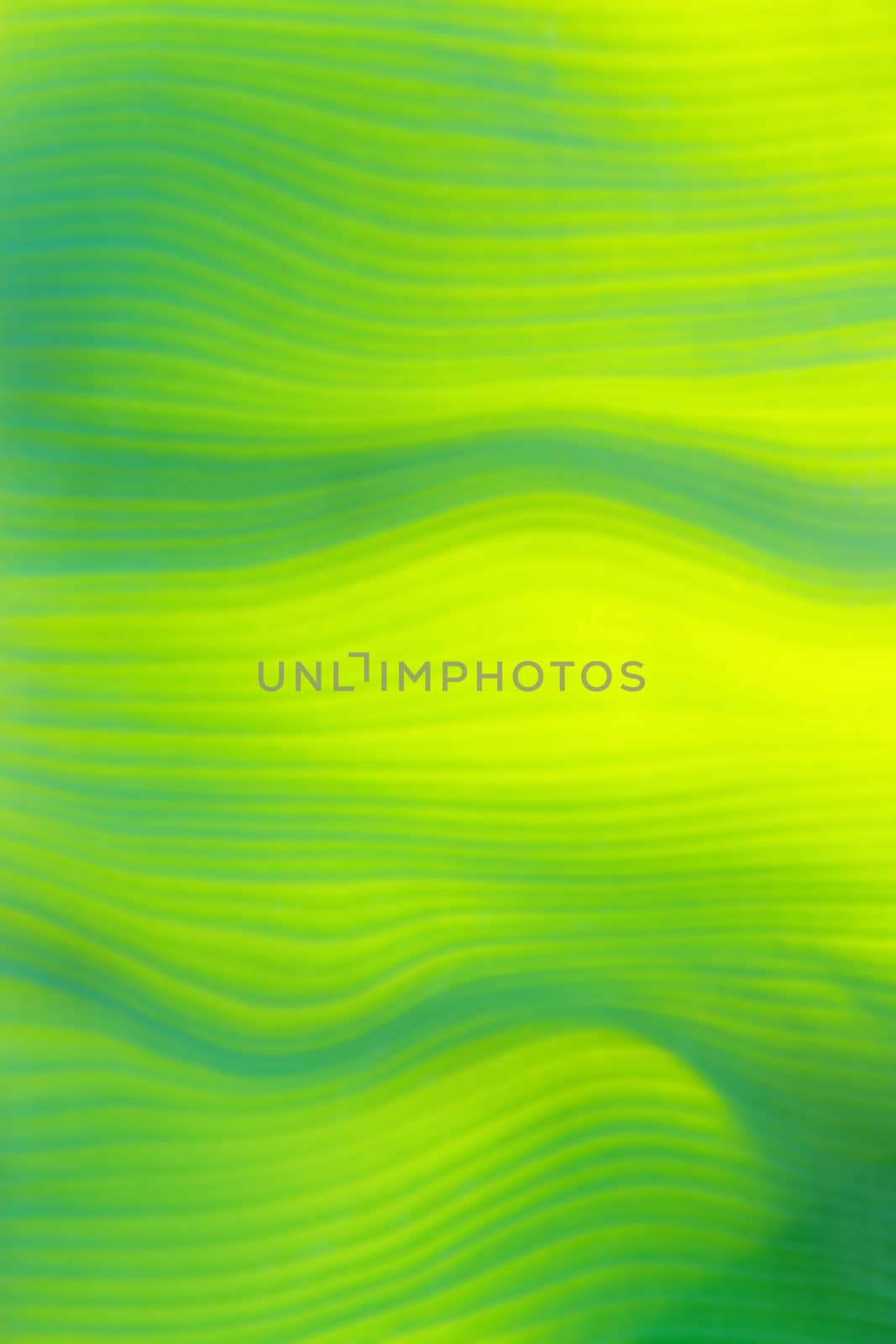 background abstract green leaves