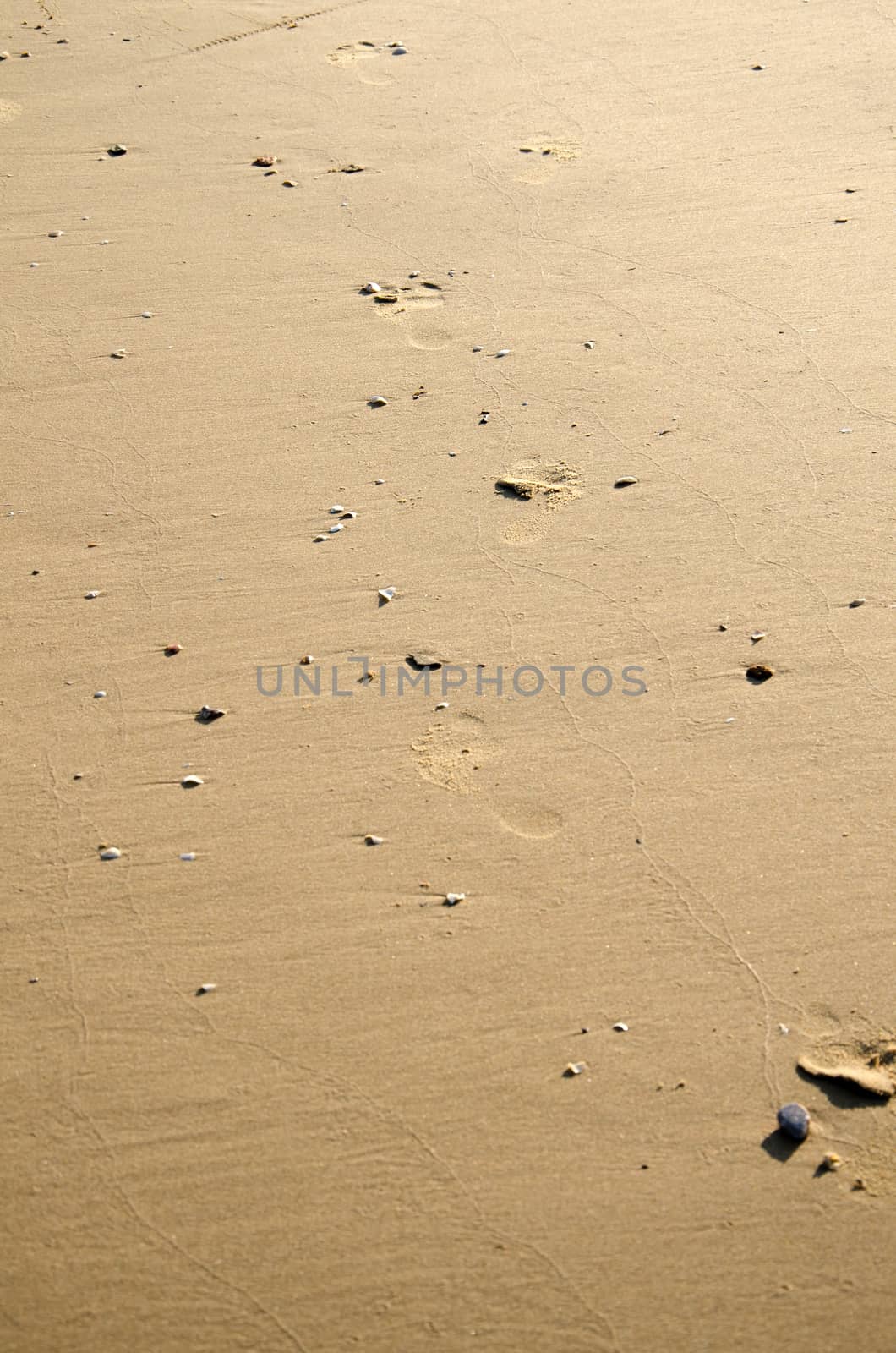 Sand background by Yuri2012