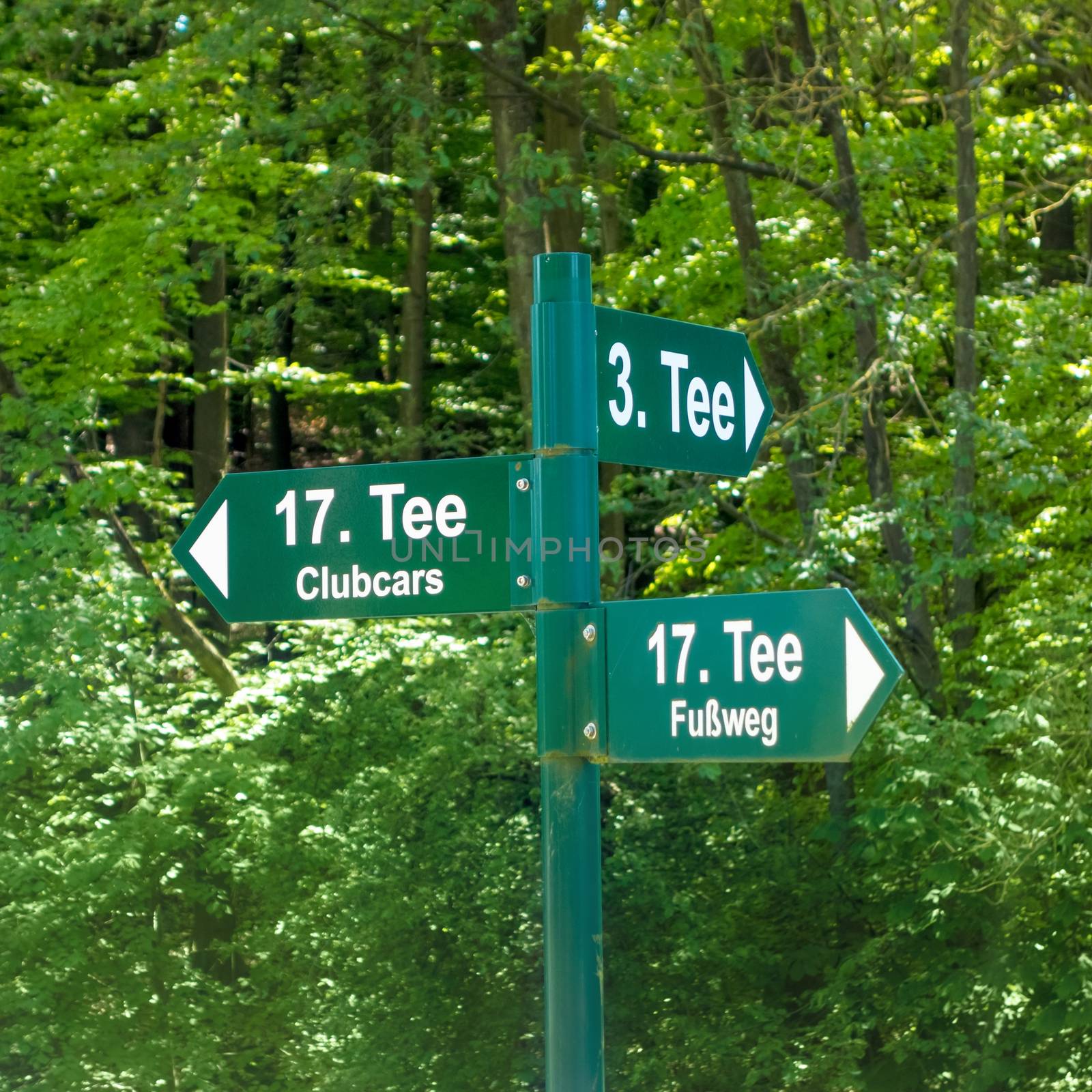 Next tee, golf sports sign
