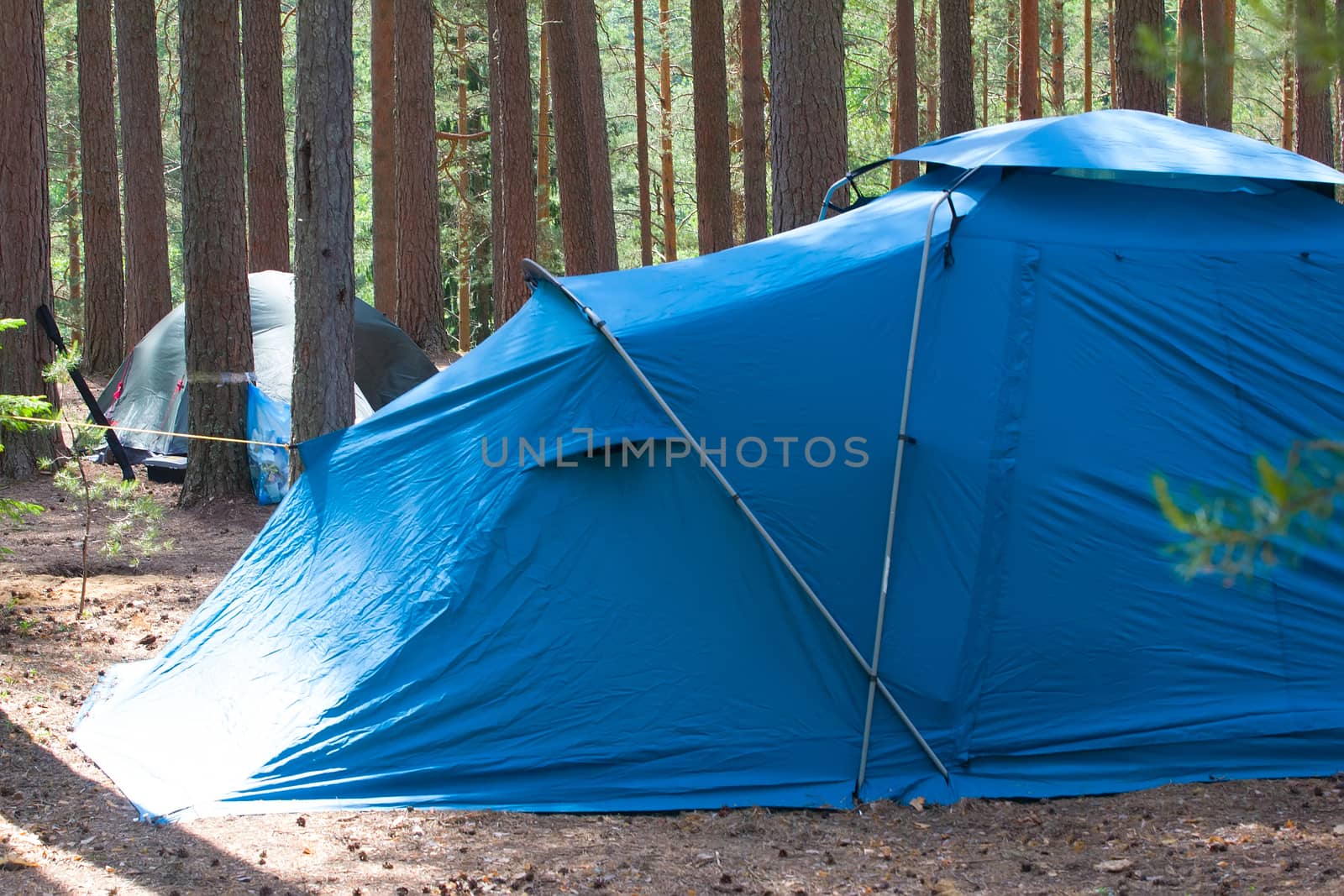 camping outdoor with  tent in woods in summer  by max51288