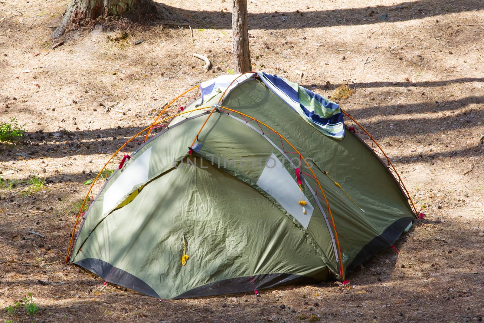 camping with a tent in the woods different options