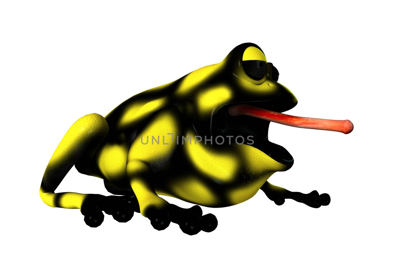Yellow Frog by Vac