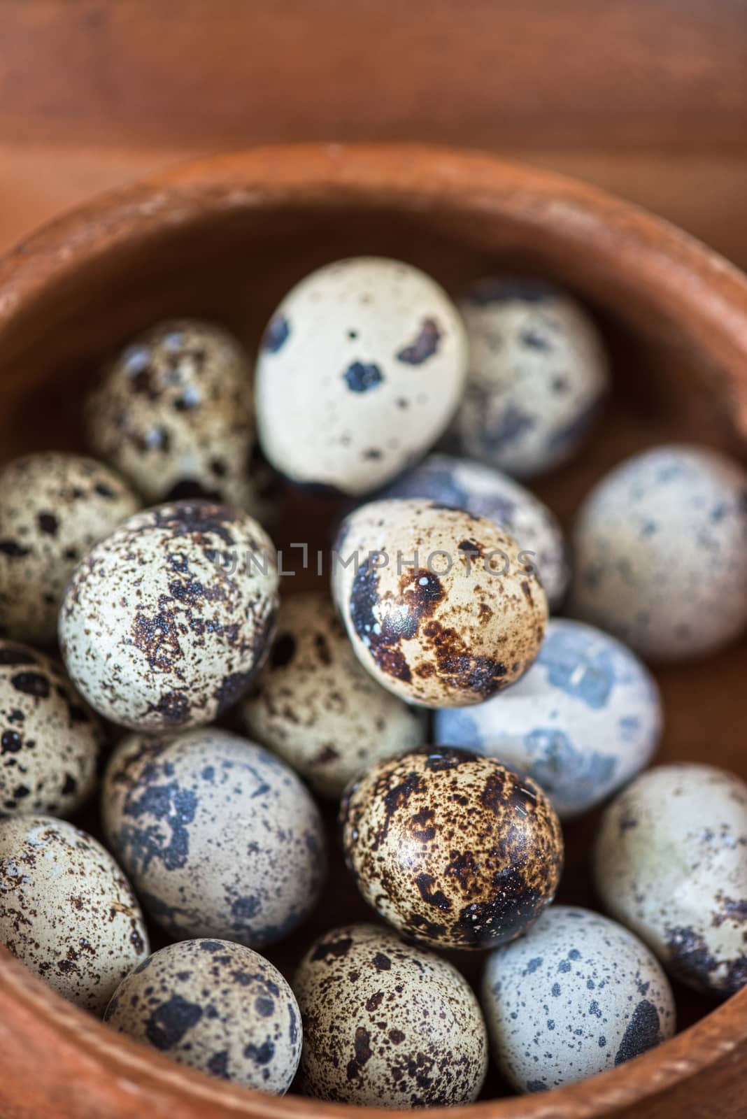 Fresh chicken eggs and quail eggs at wooden plate closeup