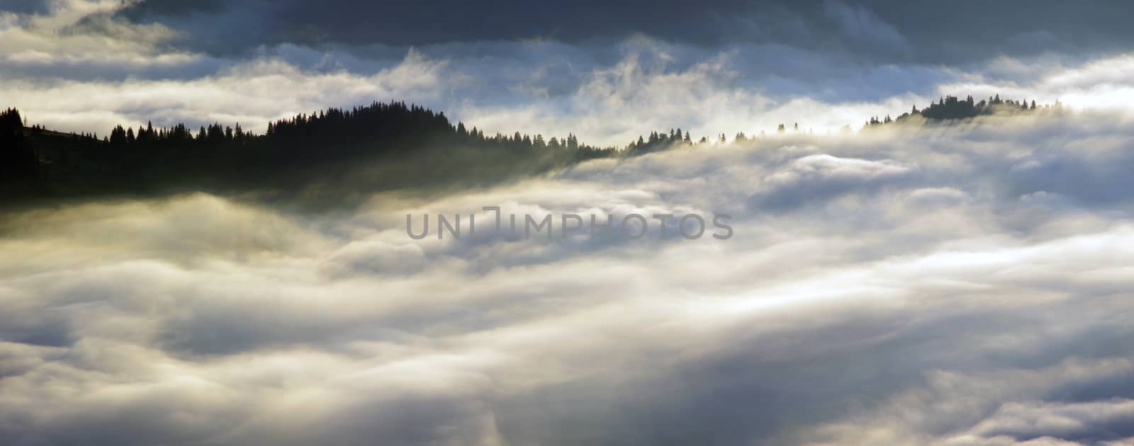 Amazing mountain landscape with dense fog. Carpathian Mountains