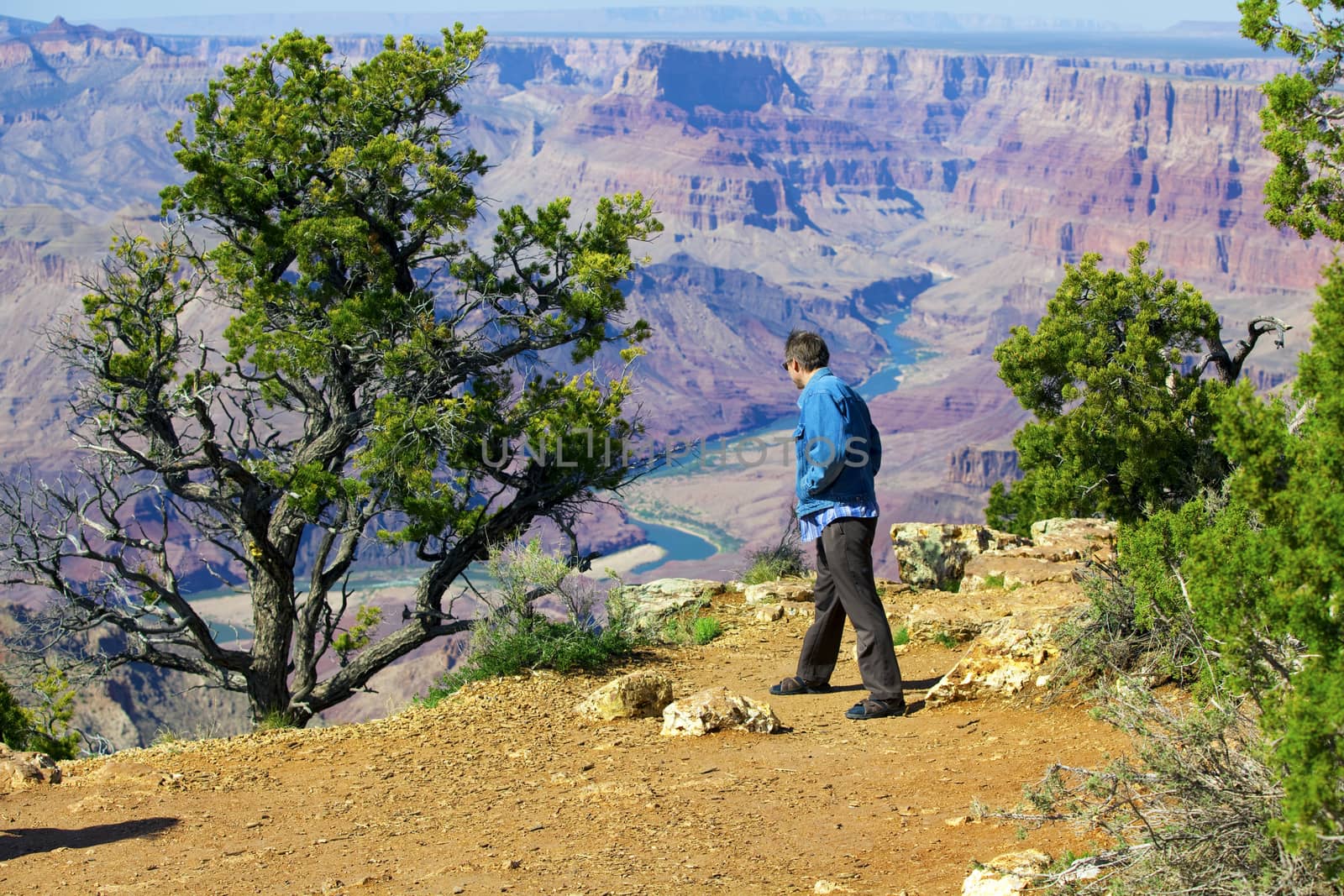 Caucasian man in mid forties cautiously looking over cliff at Grand Canyon, Arizona