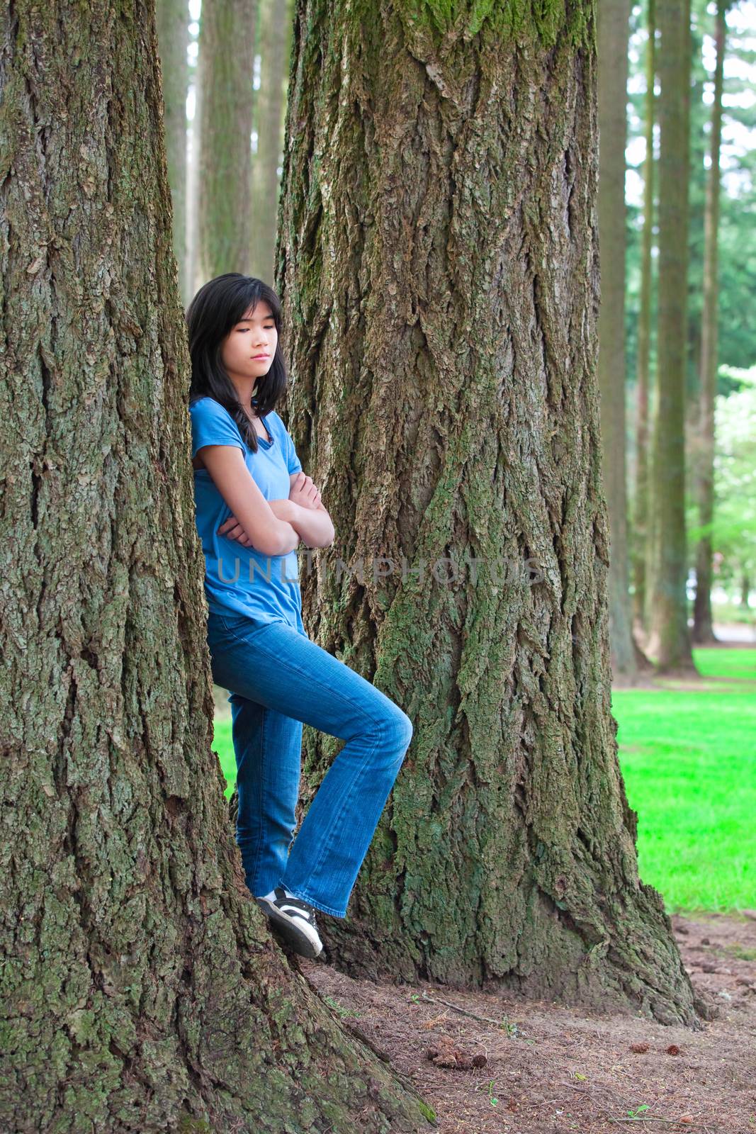 Young teen biracial Asian girl leaning against large pine tree trunk, sad