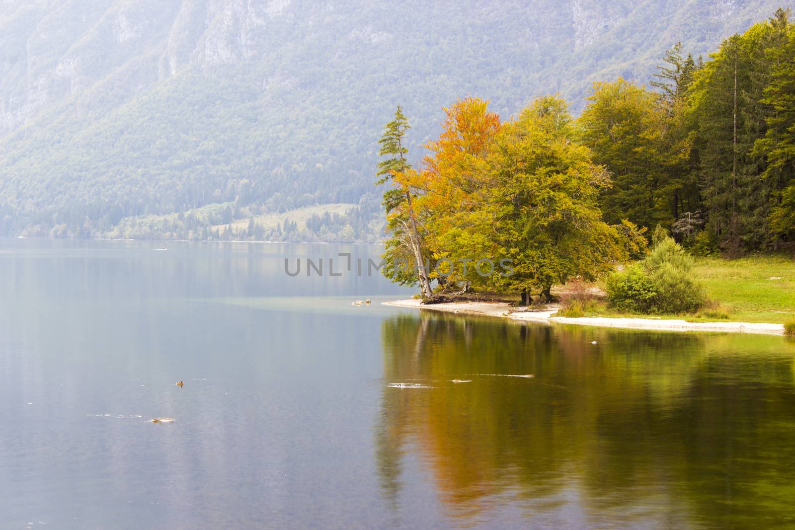 Bohinj lake in Slovenia