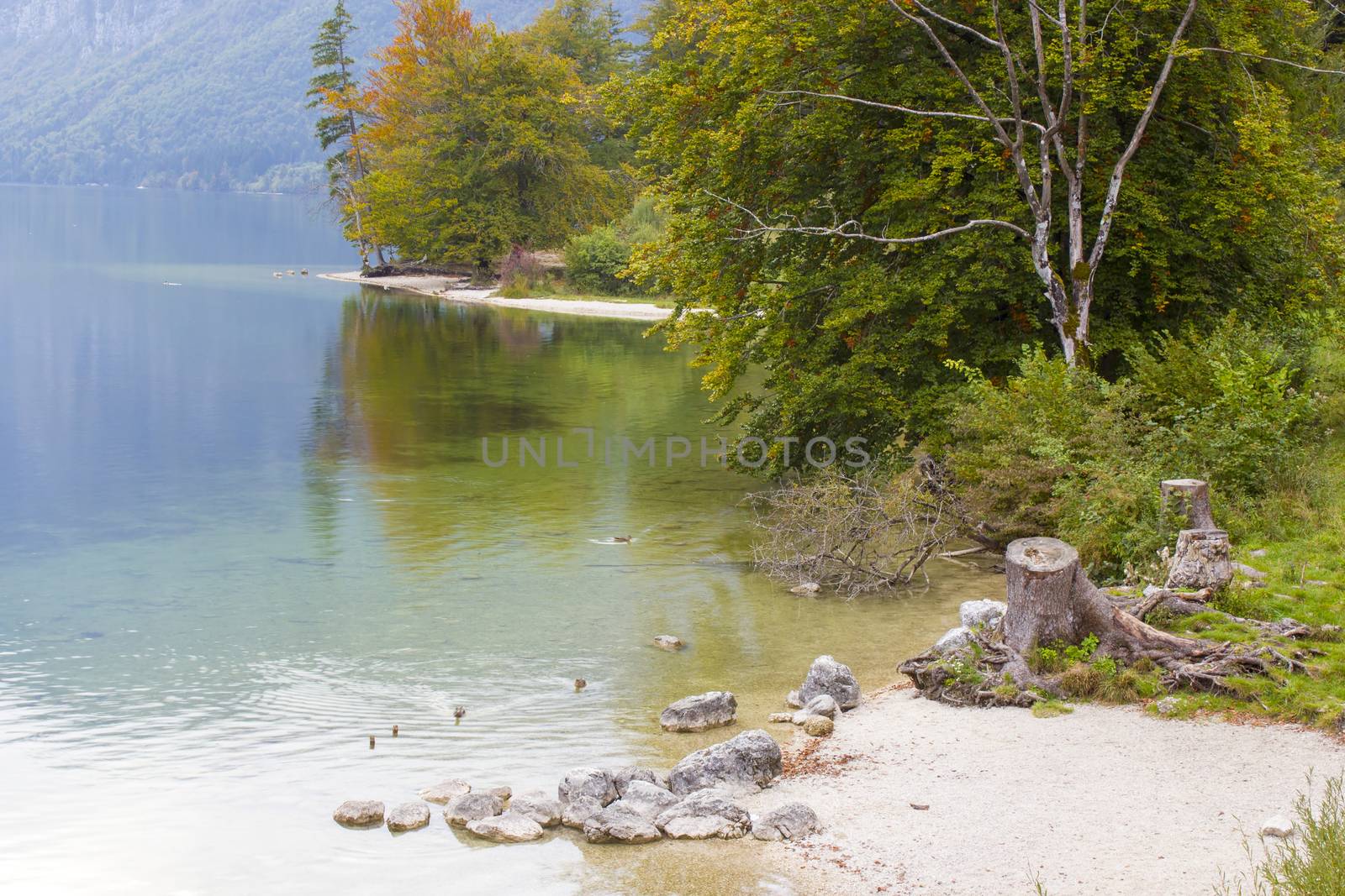 Bohinj lake in Slovenia