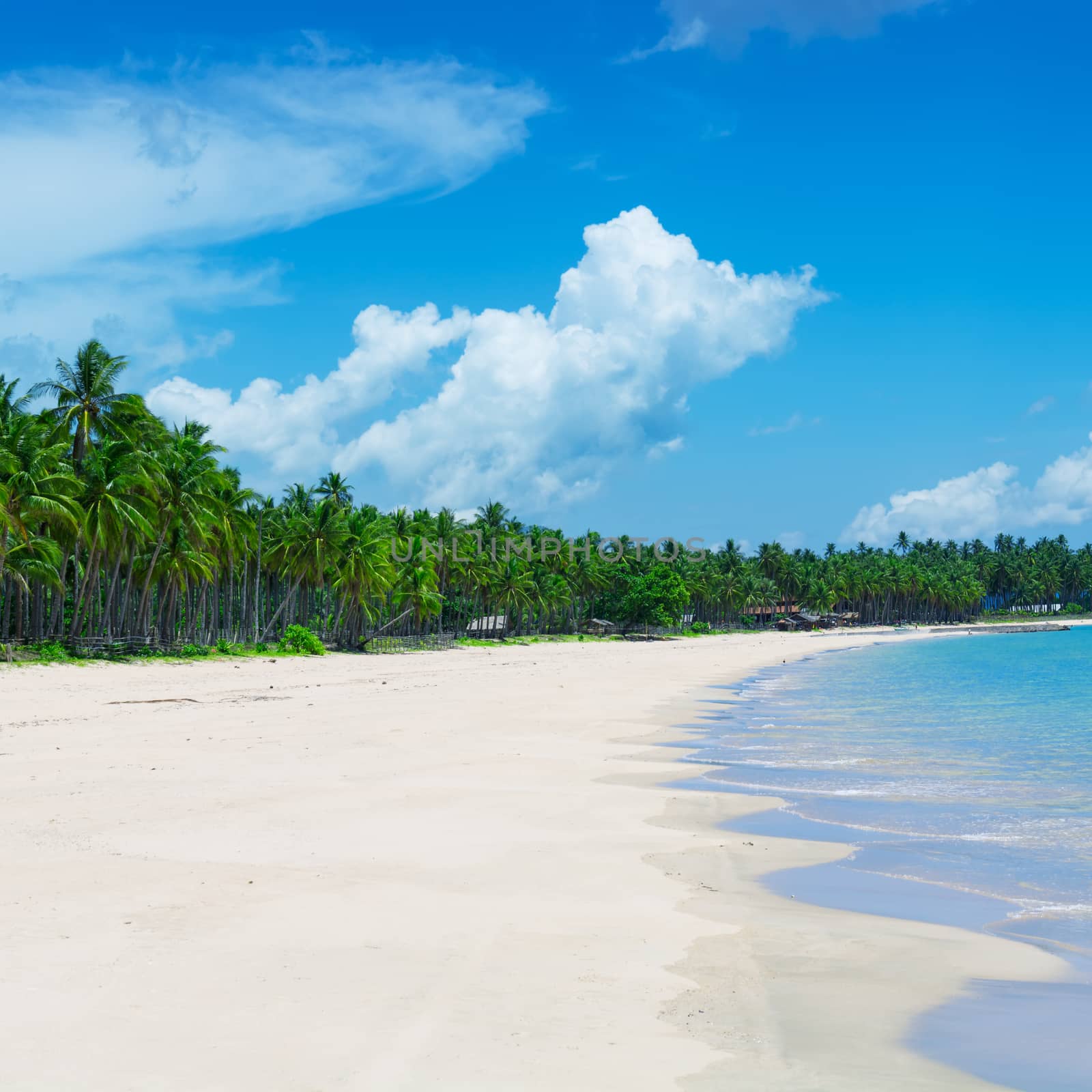 Tropical beach, El Nido, Palawan - Philippines by fazon1