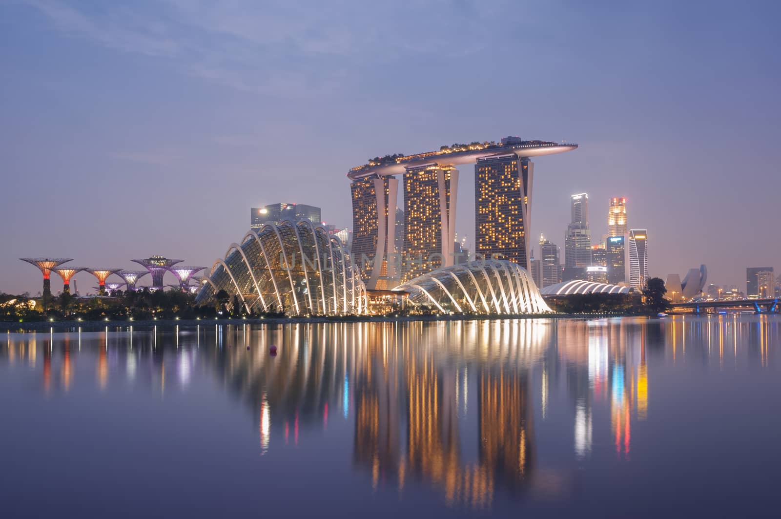 Night view of Singapore skyline, including:Gardens by the Bay, Supertree Grove, Cloud Forest, Flower Dome, Marina Bay Sands and the  Art Science Museum.