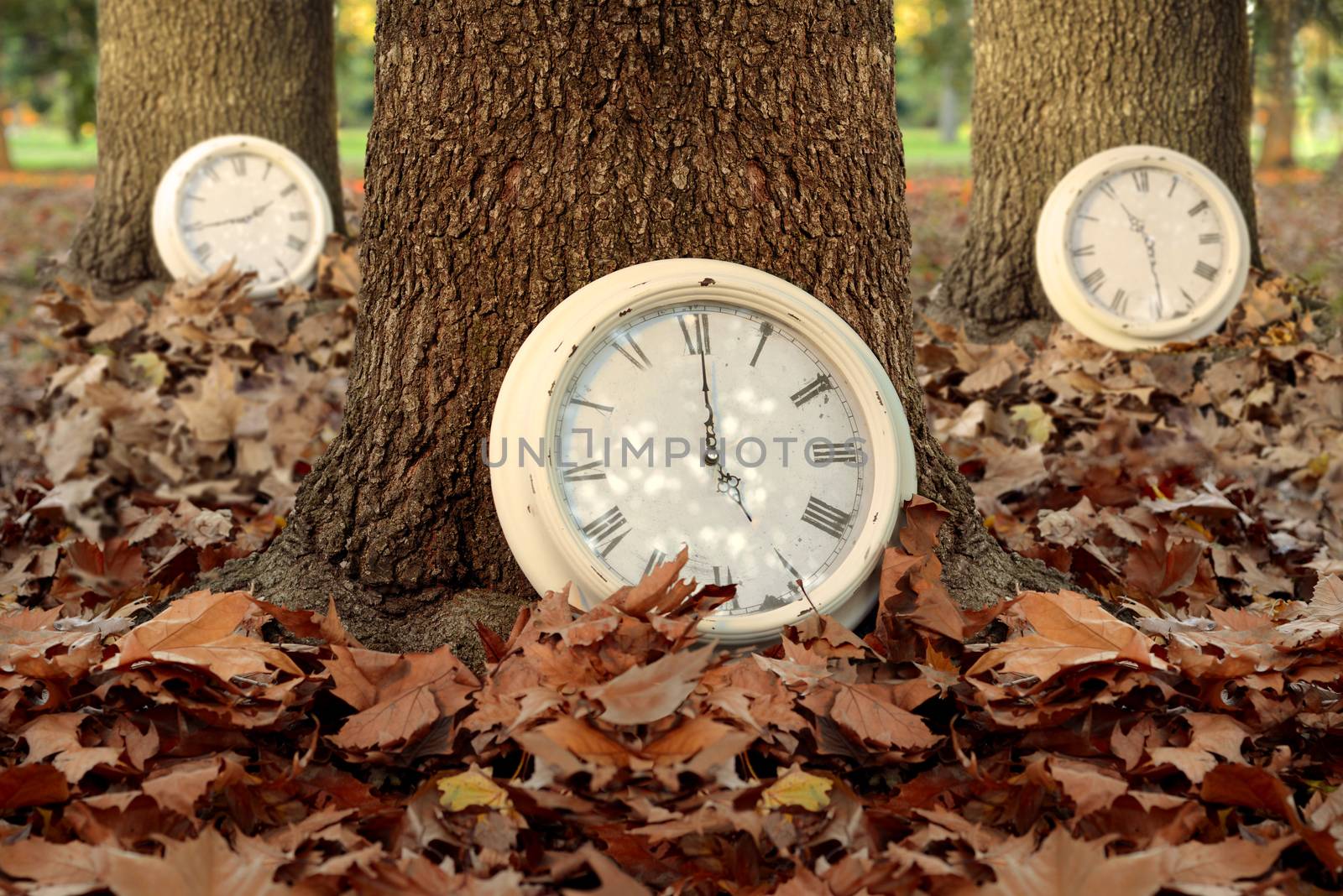 Fall time creative concept with clocks and trees on autumn leaf ground forest background. Ideal for season campaign, book cover or poster.