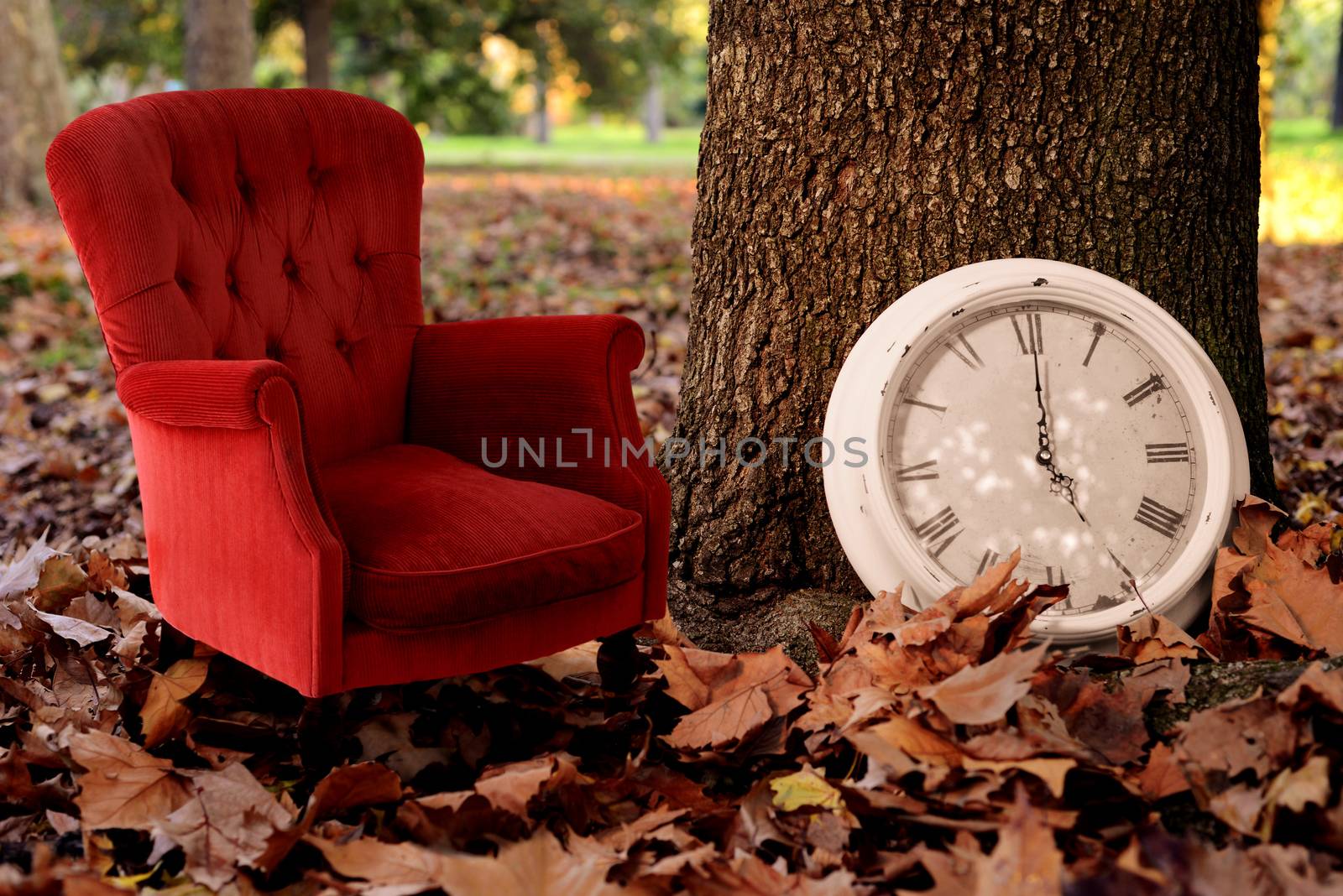 Relax is Fall time concept vintage background. Tell a autumn history creative idea photography with tree, clock and red sofa on season leaves park background.