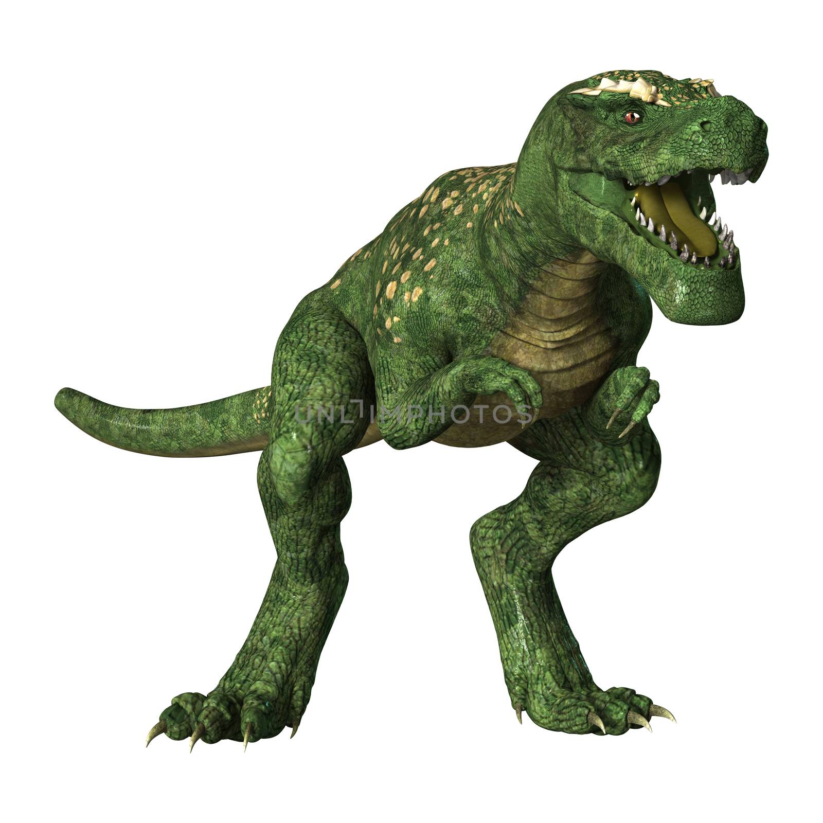 3D digital render of a dinosaur Tyrannosaurus Rex  isolated on white background