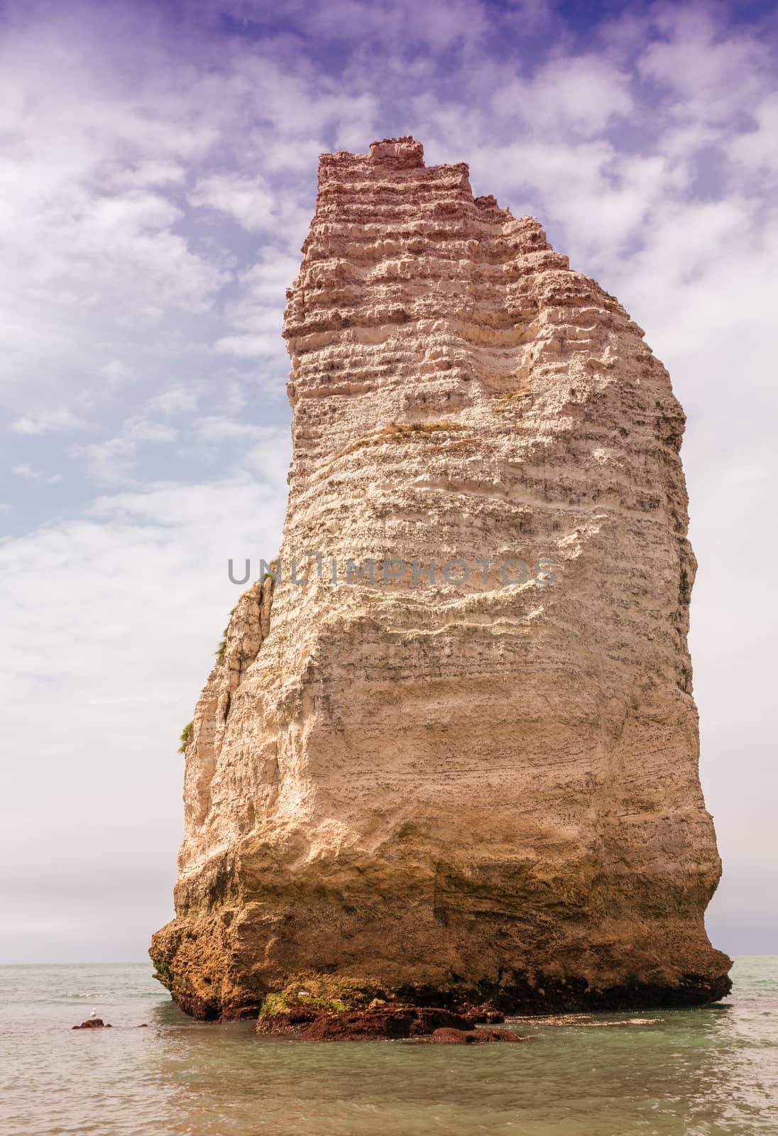 Chalk cliffs at Cote d'Albatre. Etretat, France by jovannig