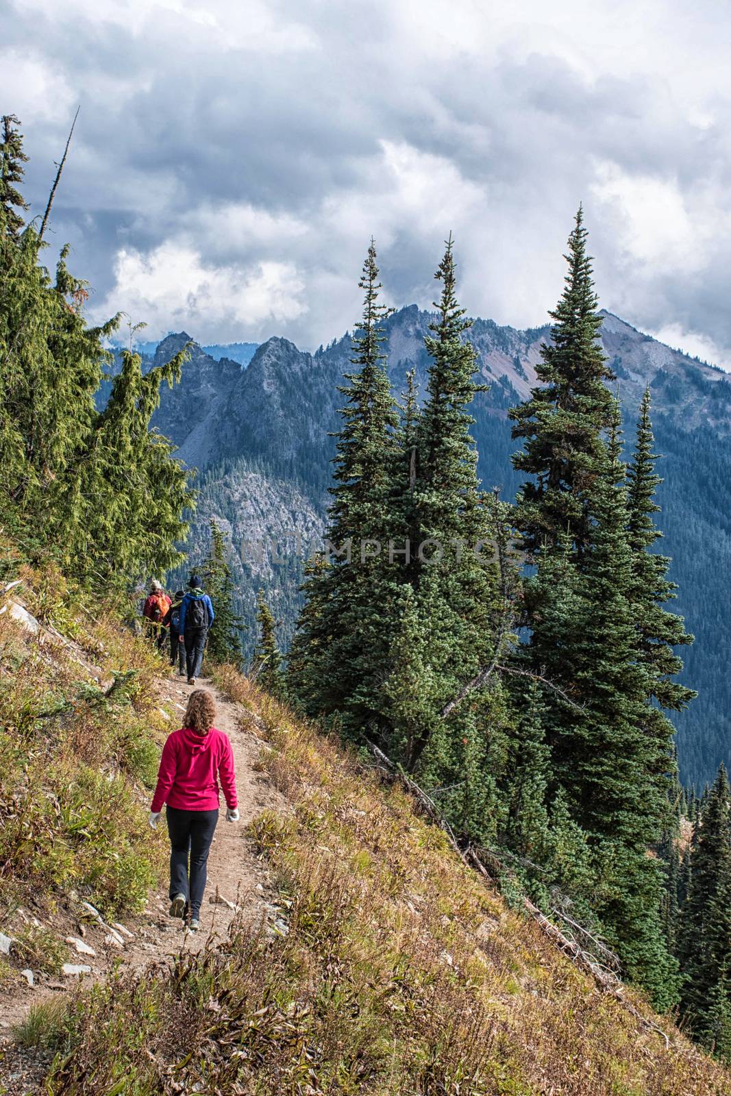 Family hiking on Pacfic Crest Trail, Washington State at Chinook by rongreer