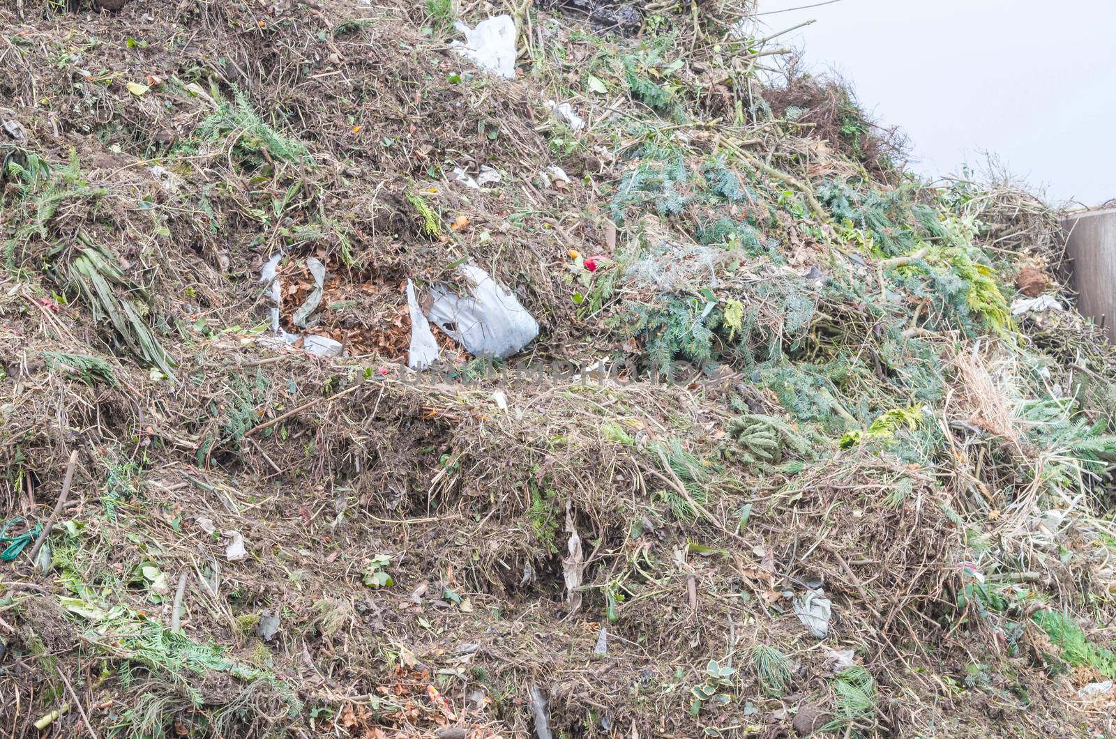 Great mountain pile of various green waste at a recycling yard.