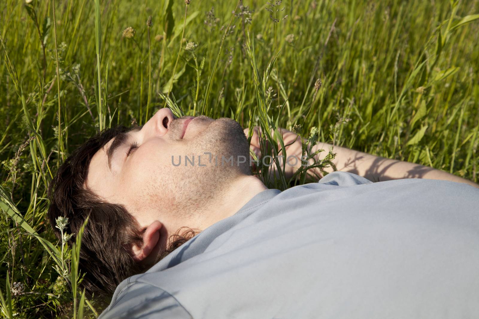 Young man sleeping in a meadow on a sunny day