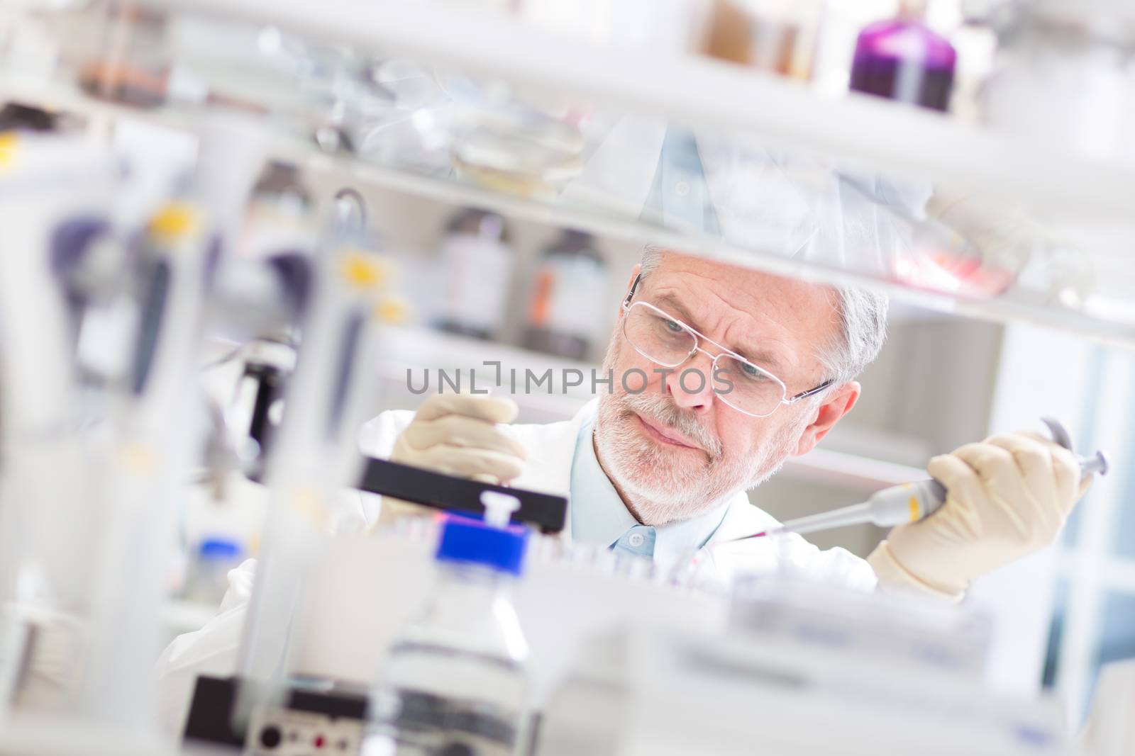 Life scientist researching in laboratory. Life sciences study living organisms on the level of microorganisms, viruses, human, animal and plant cells, genes, DNA...