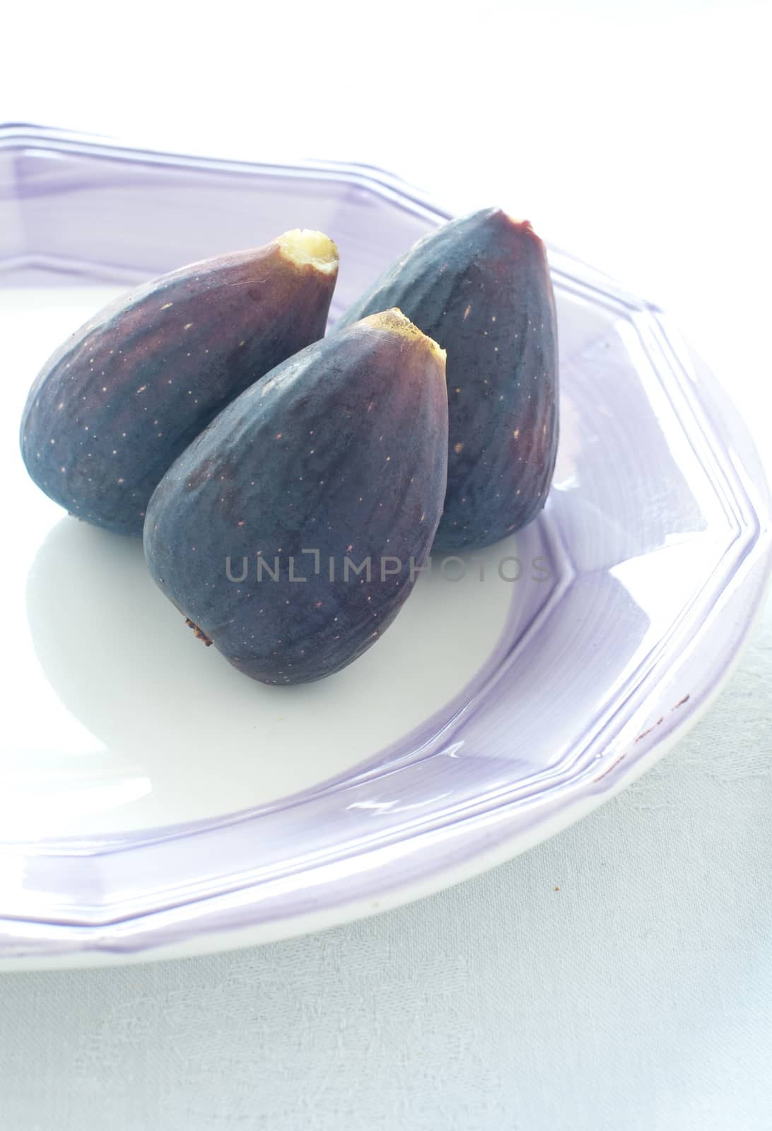 Group of colored figs on the colorful background