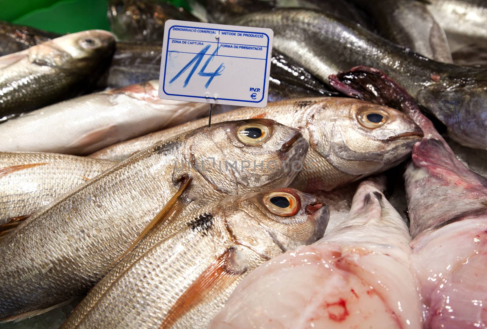 Various fresh fish on ice in a Barcelona market