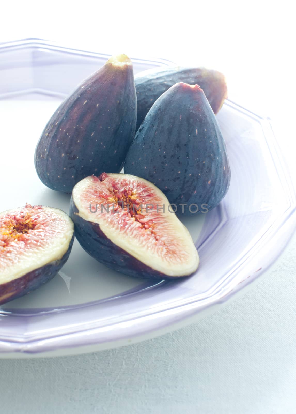Group of colored figs on the colorful background