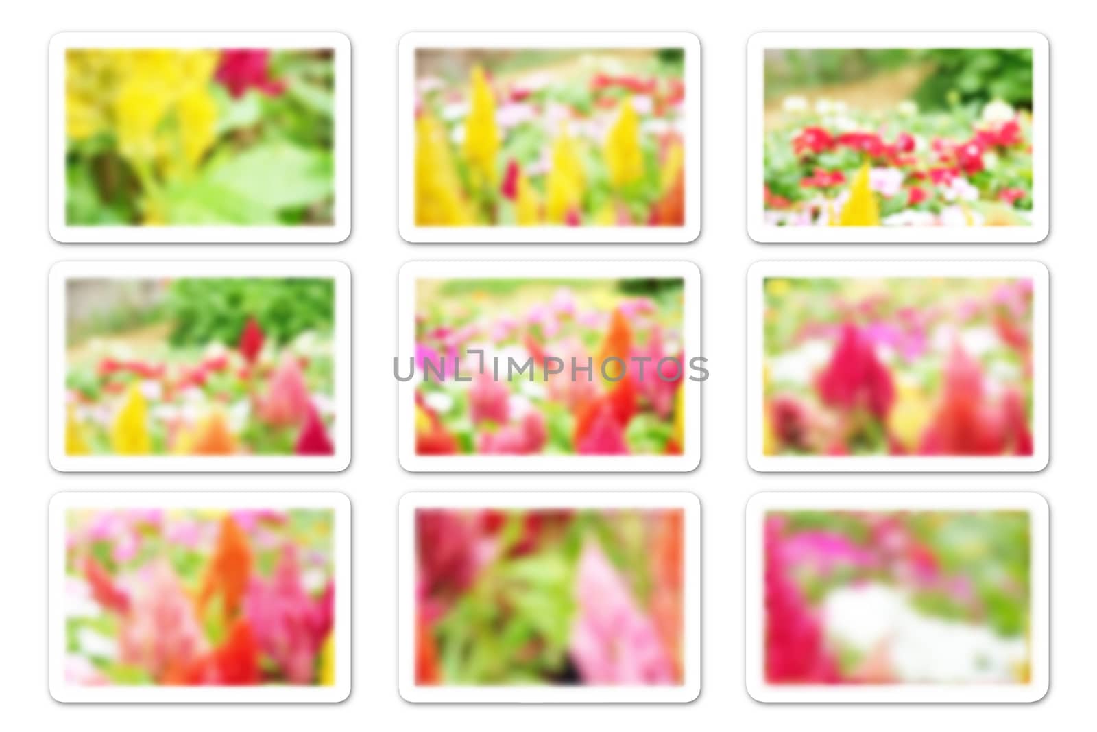 Frames of Blurred Flower Background by kanokwan14002