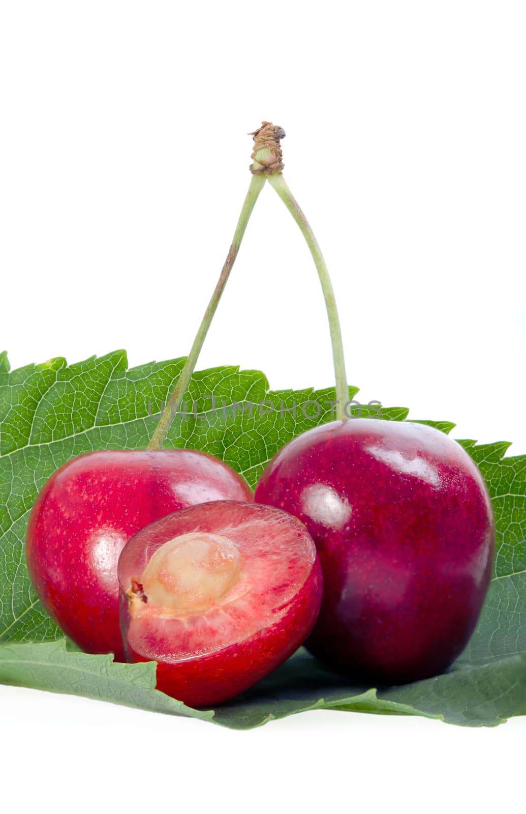 Two and one cutted cherries on a leaf.