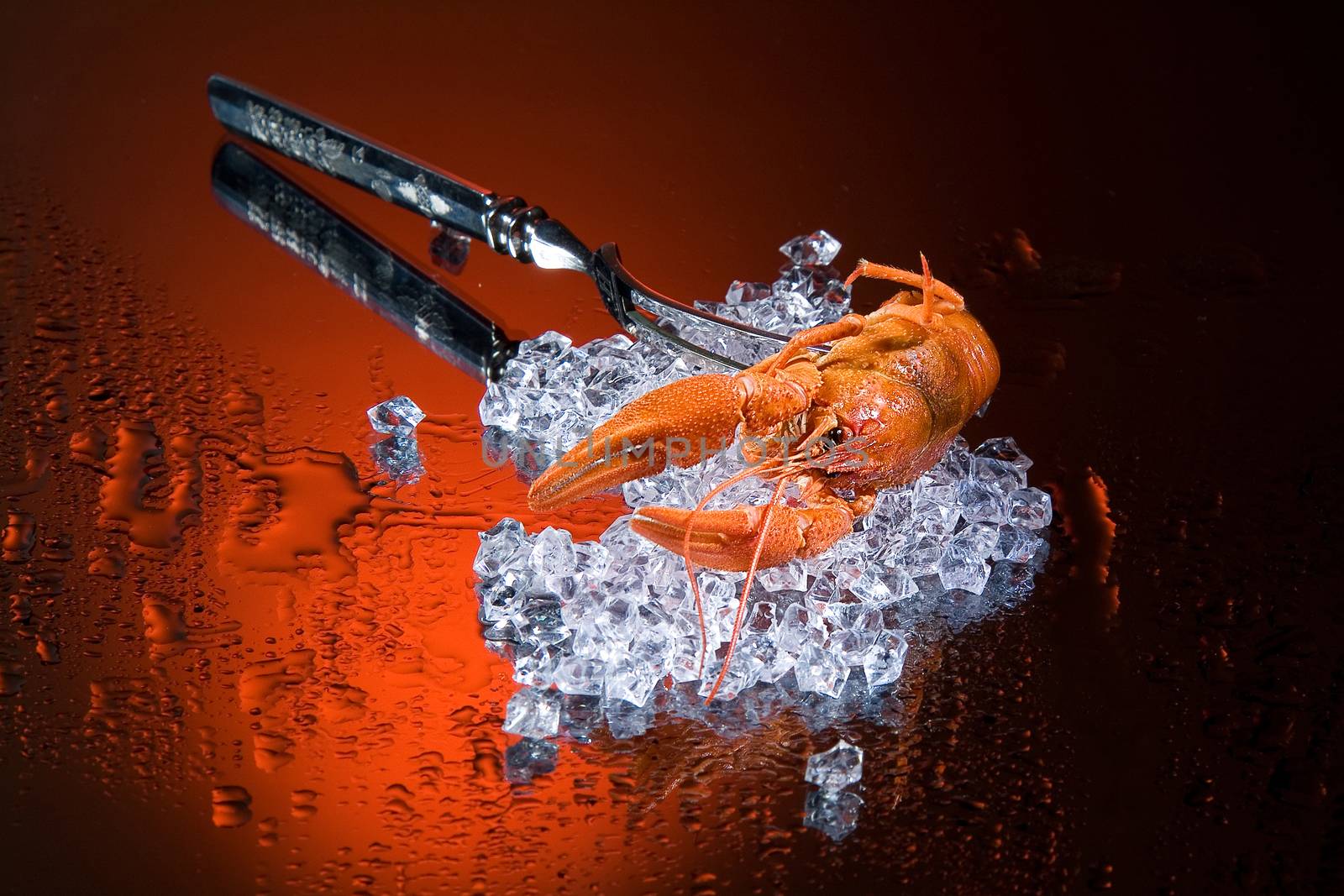 Metak fork, ice and crawfish on a glass background