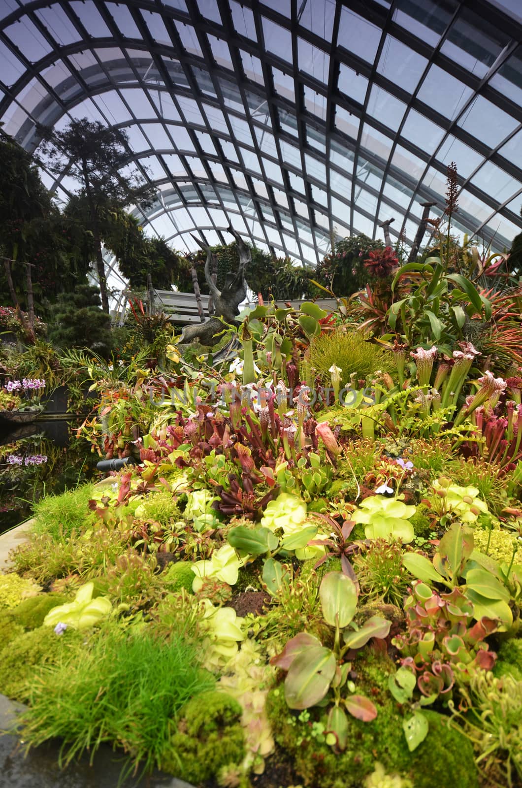 SINGAPORE- SEP 7: View of Cloud Forest at Gardens by the Bay on September 7, 2015. in Singapore. Gardens by the Bay is a park spanning 101 hectares of reclaimed land.