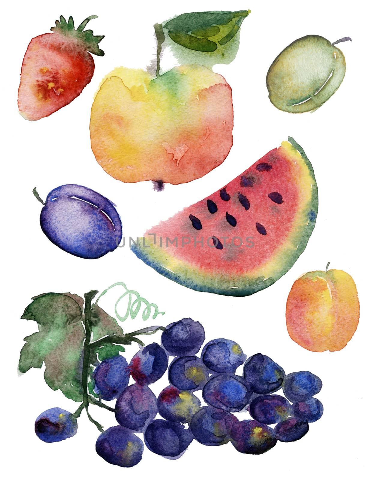 Fruit set drawn watercolor blots and stains with a spray :  watermelon, apple ,strawberry, peach, plum, grapes