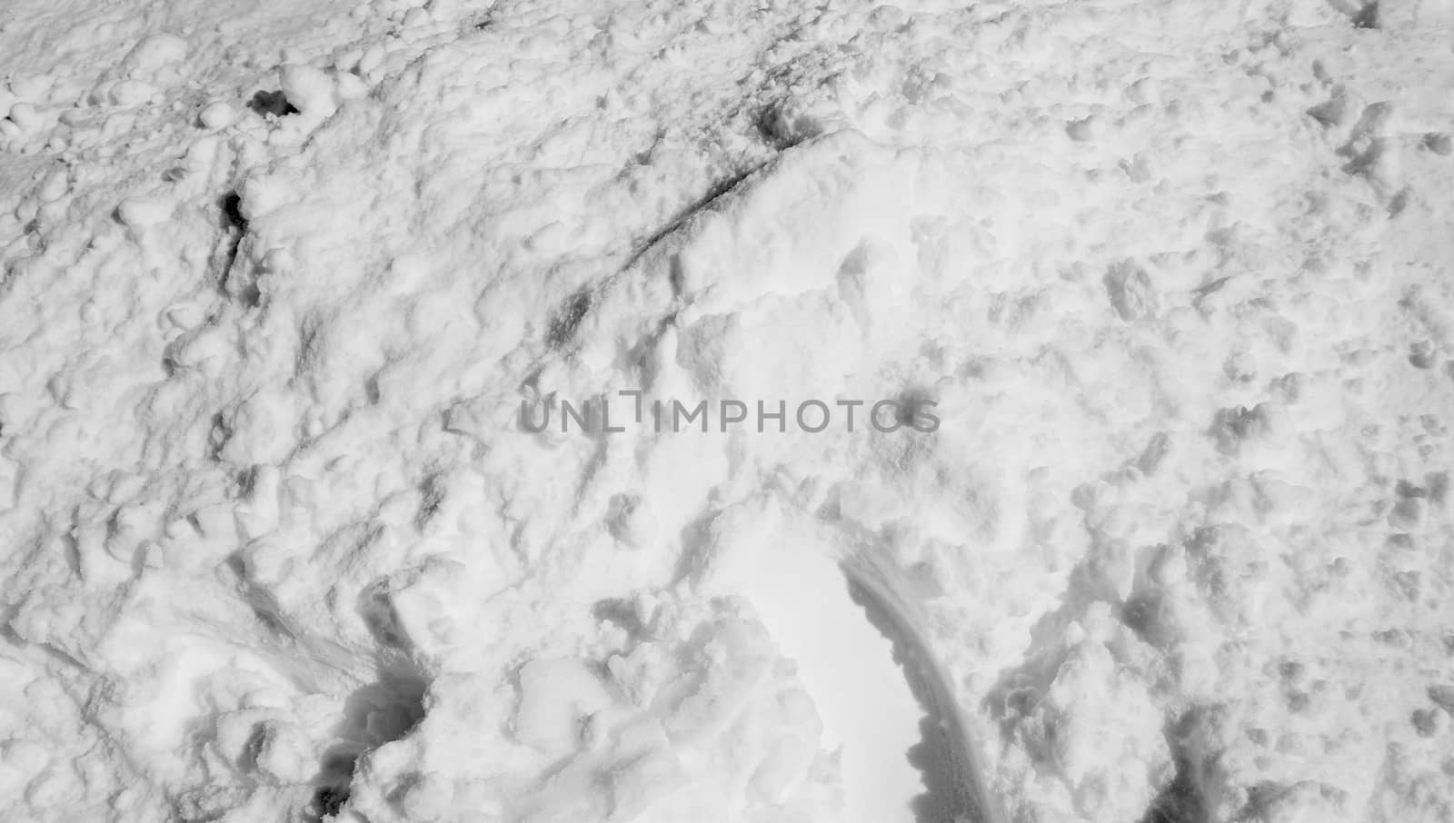 snow close up black and white