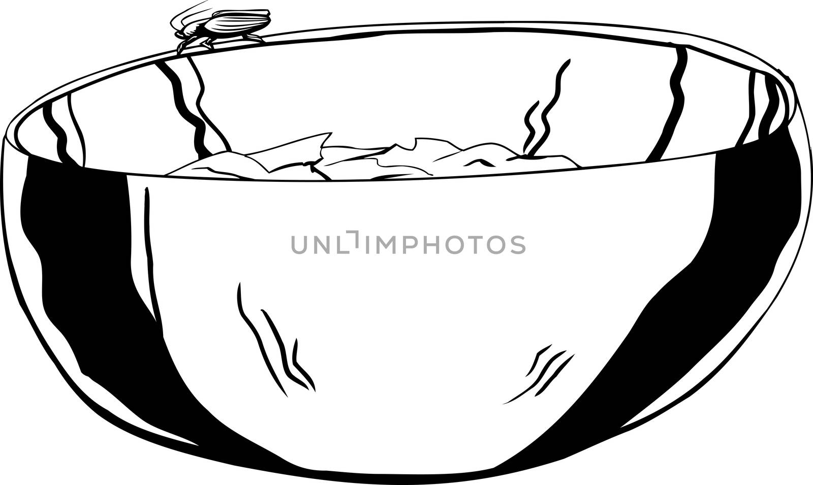 Outline of stainless steel bowl with cockroach on top