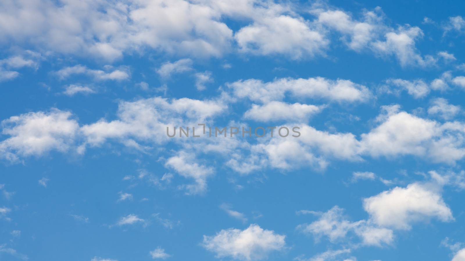 Fluffy White Clouds on Blue Sky in Sunny Day Outdoors