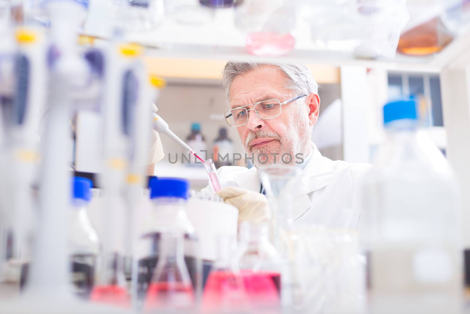 Life scientist researching in laboratory. Life sciences study living organisms on the level of microorganisms, viruses, human, animal and plant cells, genes, DNA...