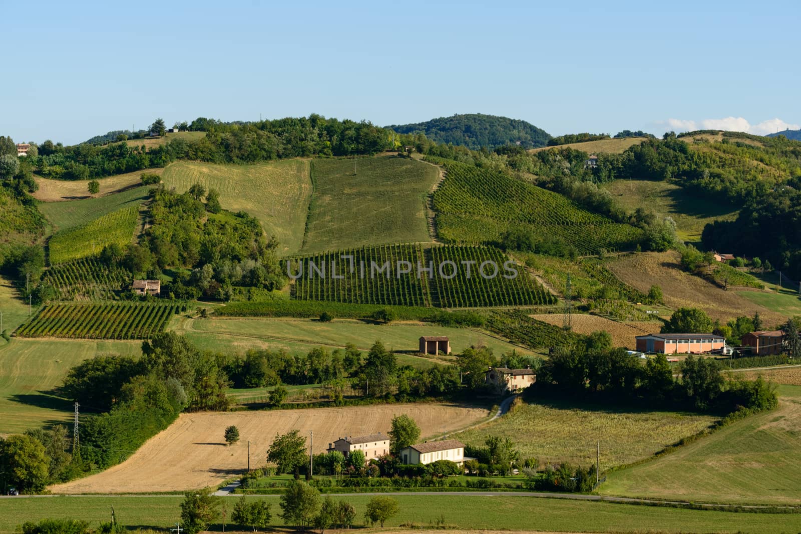 Castell'Arquato vineyards view by Robertobinetti70