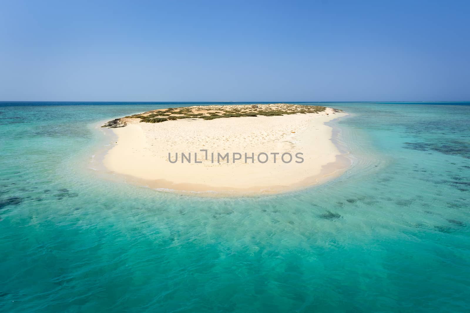 In the picture an atoll with fine white sand, turquoise sea and surrounded by green situated in the Red Sea in Egypt, situated between the area of Hamata and Berenice.