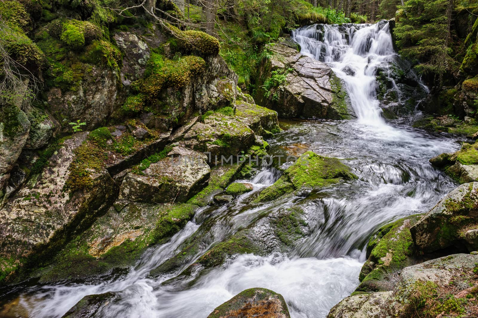 Waterfall in deep forest at mountains, Retezat national park, Romania