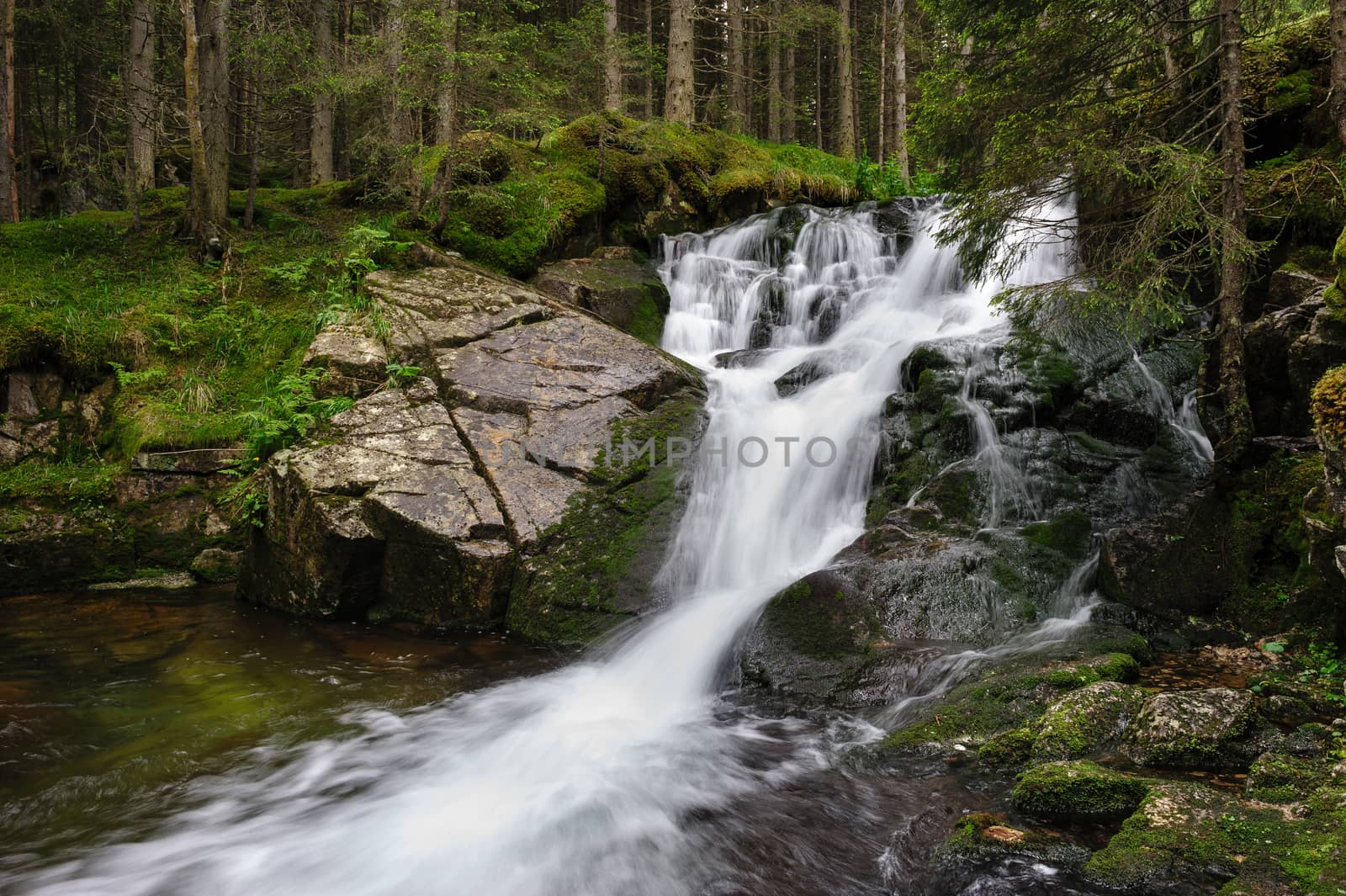 Waterfall in deep forest at mountains, Retezat national park, Romania