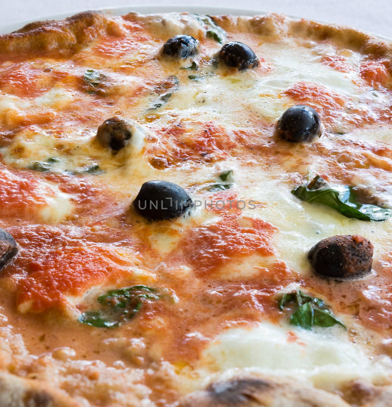 Pictured wheat pizza with olives tomato basil and mozzarella Neapolitan (bufala)