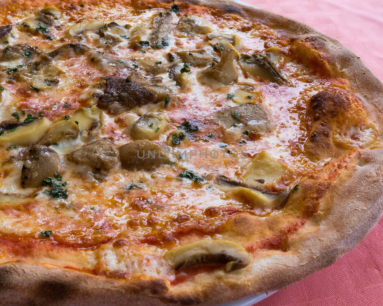 In the picture typical Italian pizza  with tomato,mozzarella,cheese and mushrooms.