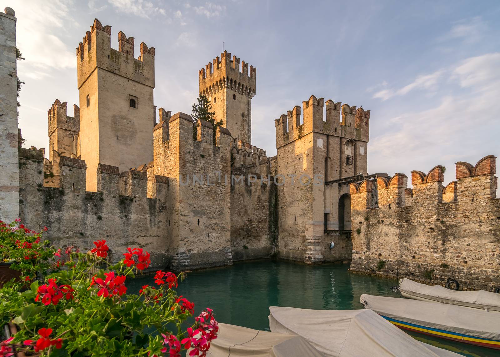 Scaliger castle and geranius by Robertobinetti70