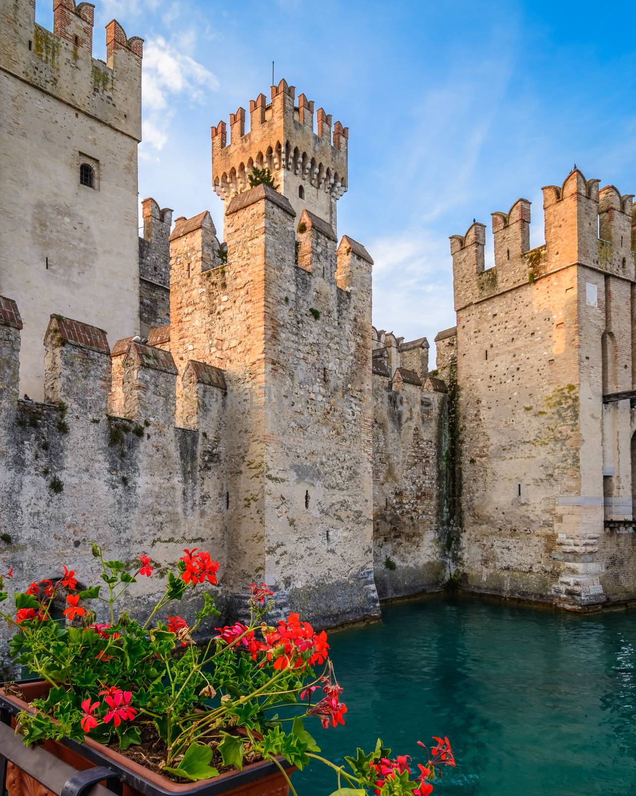 A Scaliger Castle (13th Century) with foreground red geraniums.