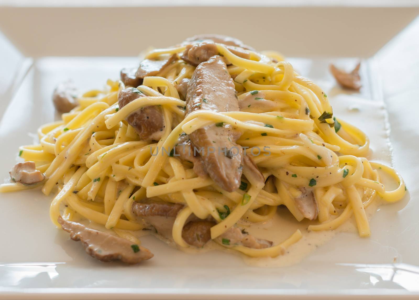 Close-up Italian pasta "Tagliolini" with mushrooms  Porcini,cream and herbs.