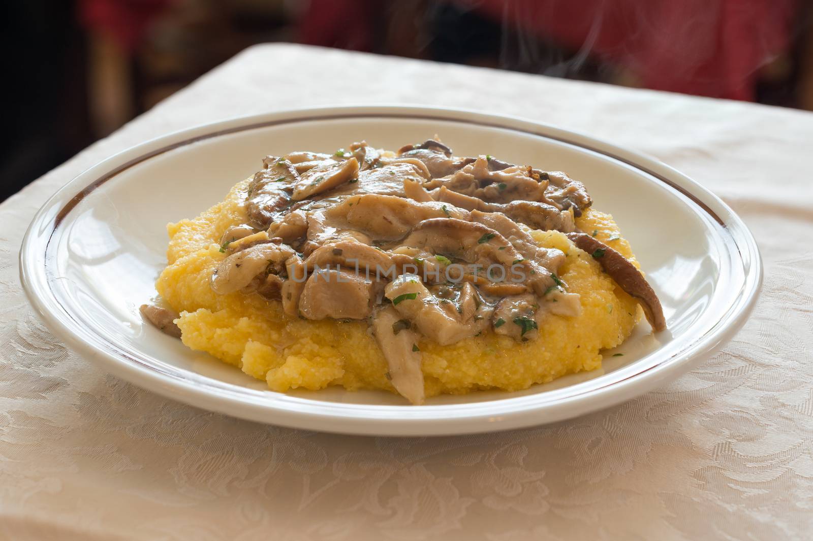 Pictured Polenta with mushrooms "Porcini" and herb.